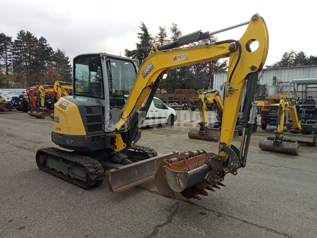 Wacker Neuson EZ36 avec 3 godets d'excavatrice - - Mini pelle < 7t d’Occasion
