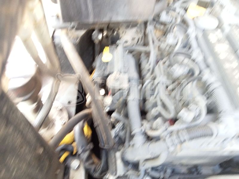 2018 واكر نيوسون DW50-47775620