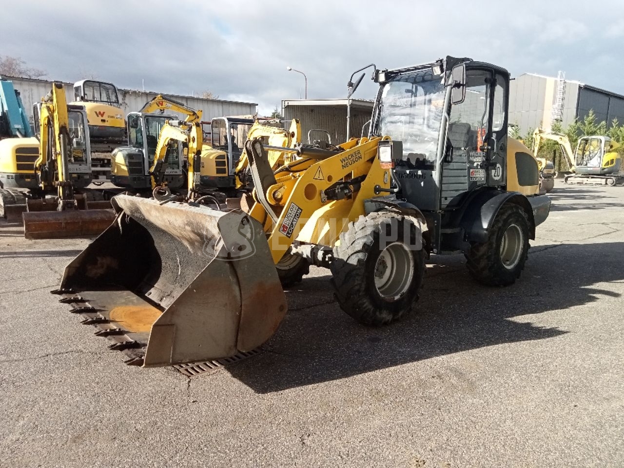 Wacker Neuson WL44 - - Used Wheel Loader