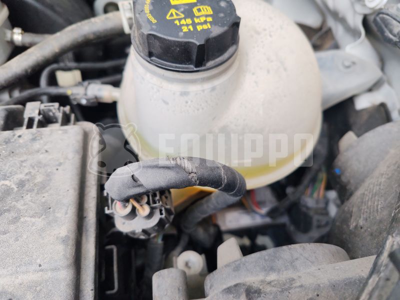 2023 Ford TRANSIT-48369949